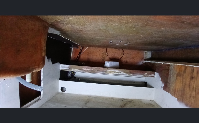 Bayliner 2550 Cierra Sunbridge-kuva-4